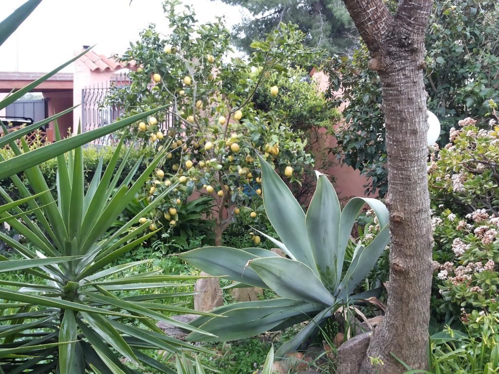 Residenza Bea Vila Flumini di Quartu Quarto foto